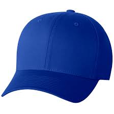 Flex Fit Hat - Blackwolf Golf