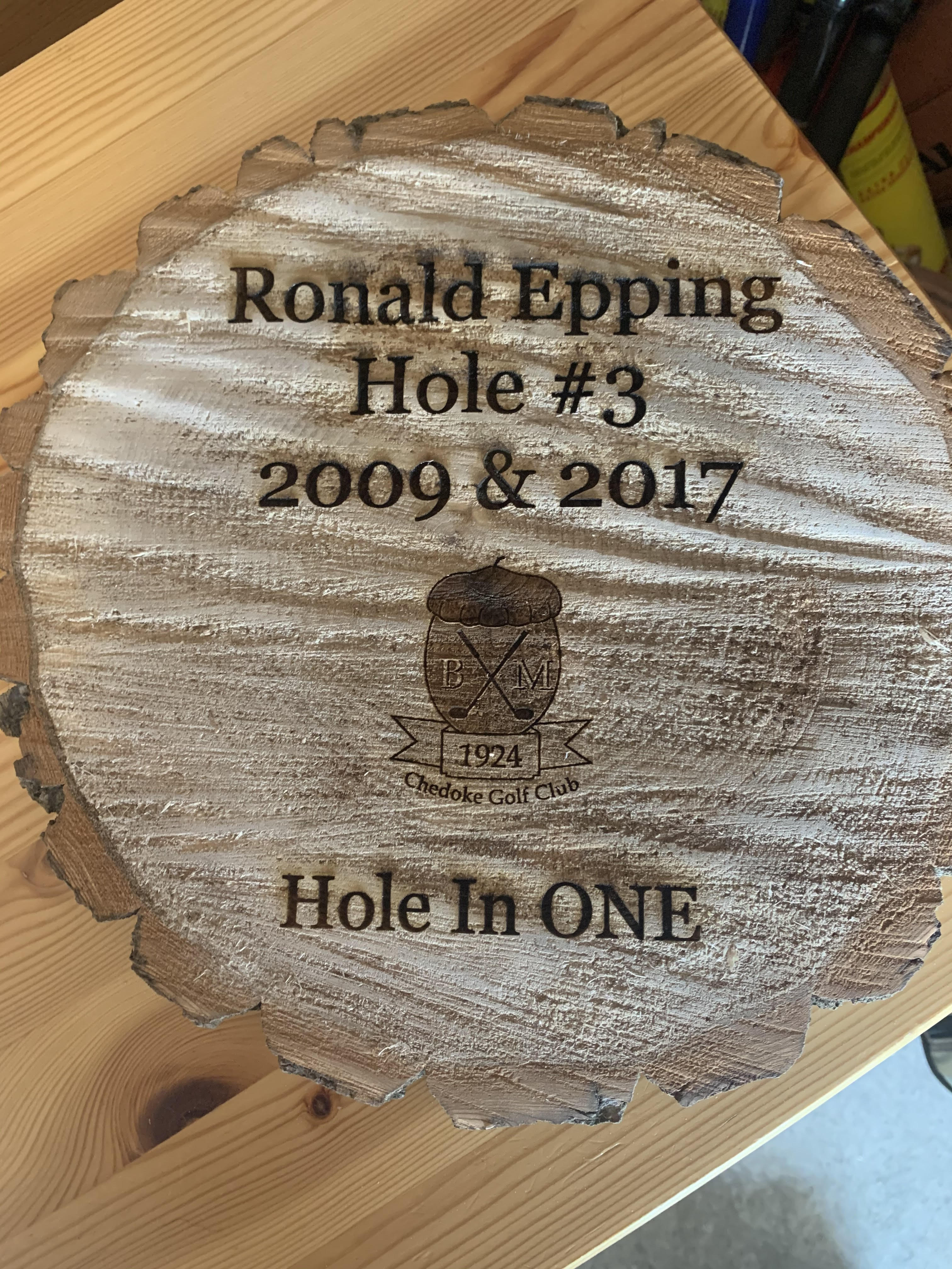 Hole in One Wooden Log